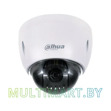 IP-камера Dahua DH-SD42212T-HN-S2